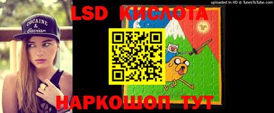 прущие крисы Донской