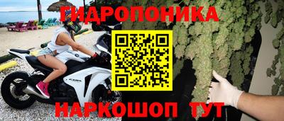 прущие крисы Донской