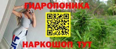 прущие крисы Донской