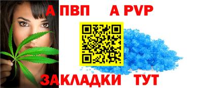 прущие крисы Донской
