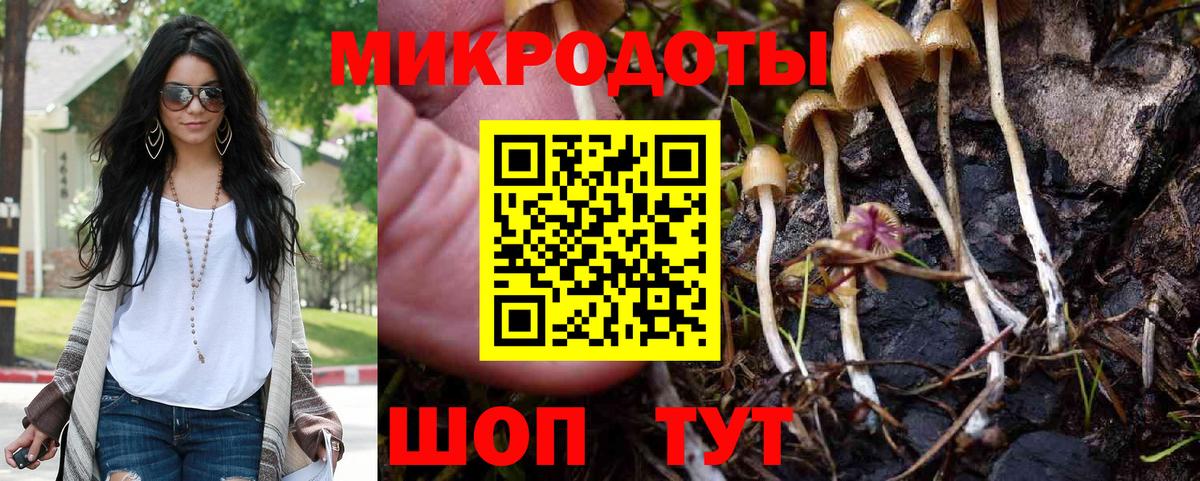 купить  цена  Псилоцибиновые грибы Psilocybe  Вход с VPN  Люберцы 